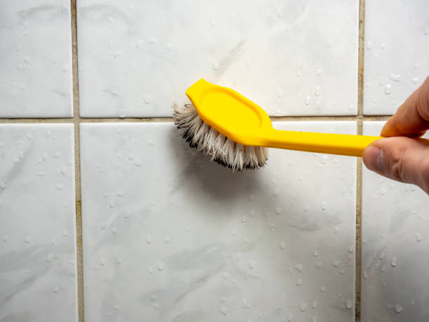 Best Fast Mold Removal  in Laurel, MD