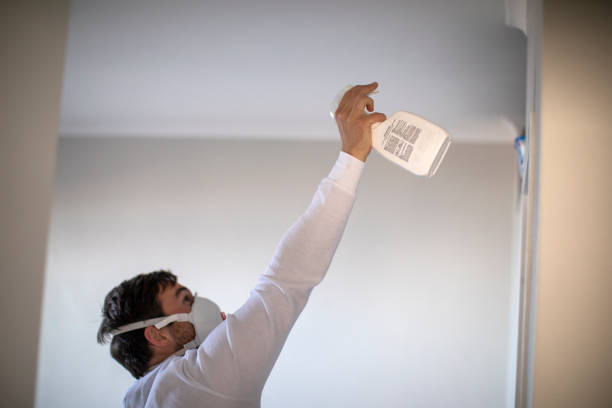 Best Mold Cleaning Services  in Laurel, MD